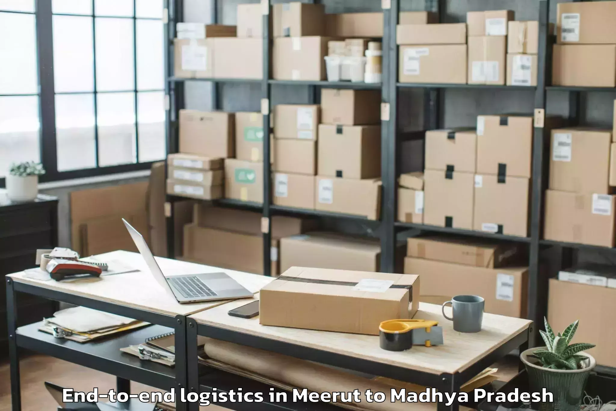 Book Your Meerut to Nasrullahganj End To End Logistics Today